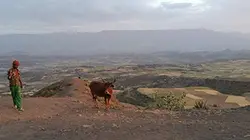 Echappées belles Ethiopie, le pays des origines