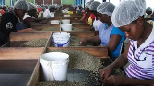Echappées belles Jamaïque, l'île arc-en-ciel