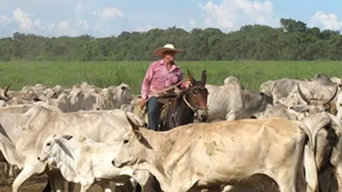 Routes mythiques Brésil : la route des terres conquises