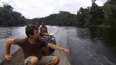 Gabon, la grande forêt