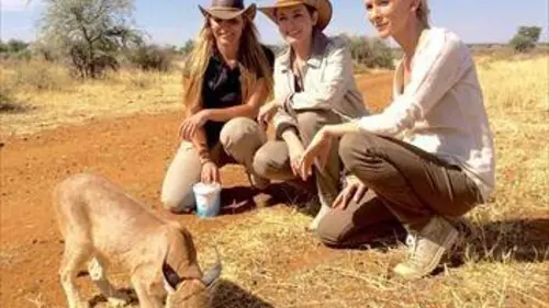 Echappées belles E22 Namibie, terre animale