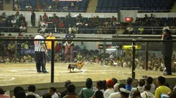 Echappées belles Philippines, les couleurs du voyage