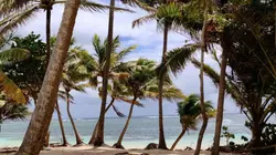 Echappées belles  Spéciale Martinique, l'aventure en partage