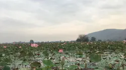 Echappées belles  Cambodge, le royaume enchanteur