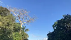 Echappées belles Coup de coeur pour le Panama