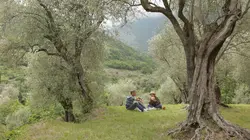 Echappées belles S02E26 Nice, l'art de la fête