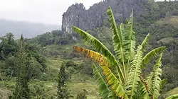Echappées belles La Nouvelle-Calédonie (1/2)