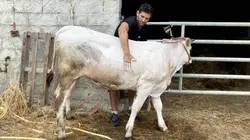 Echappées belles L'Occitanie, de ferme en ferme