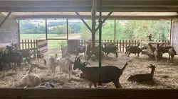 Echappées belles L'Occitanie, de ferme en ferme