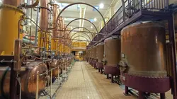 Echappées belles Spéciale : un week-end au vert à Angers