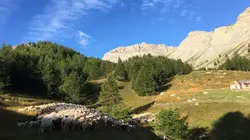 Echappées belles S02E26 Nice, l'art de la fête