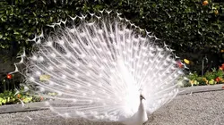 Echappées belles L'Italie des grands lacs