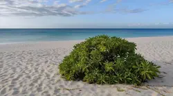 Echappées belles  Nouvelle-Calédonie et ses lagons