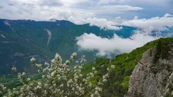 Echappées belles Le grand spectacle du Vercors