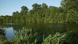 Echappées belles Week-end dans les Deux-Sèvres