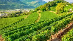Echappées belles Un été en Suisse