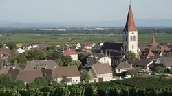 Echappées belles Alsace, sur la route des vins
