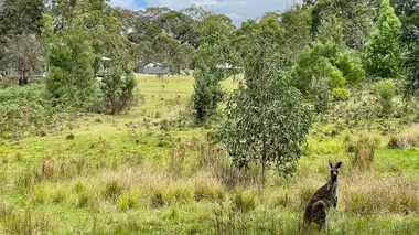 Echappées belles Australie : sur la route de l'océan
