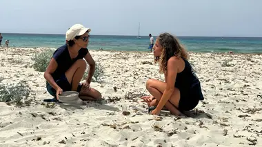 Echappées belles Corse, l'île aux trésors