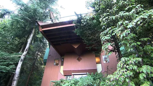 Casting Echo-logis Les échos des arbres