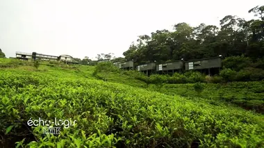 Rainforest Eco-Lodge au Sri Lanka