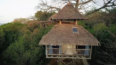 Tanzanie