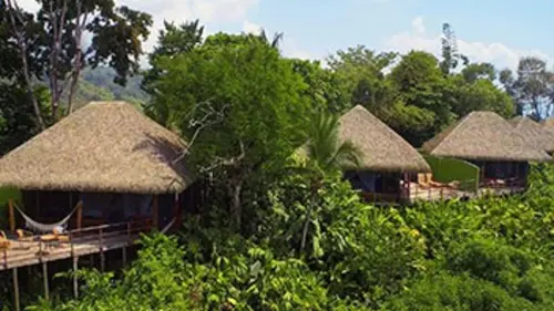 Casting Echo-logis S04E00 Costa Rica, «Au coeur de la jungle»