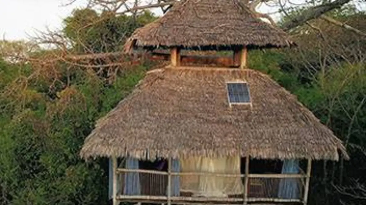 Echo-logis Robins des îles