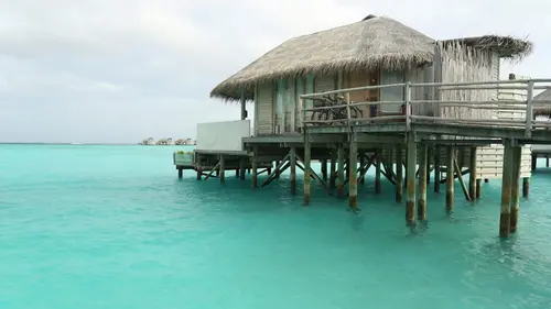 Casting Echo-logis UniverCity, à Vancouver (Canada)