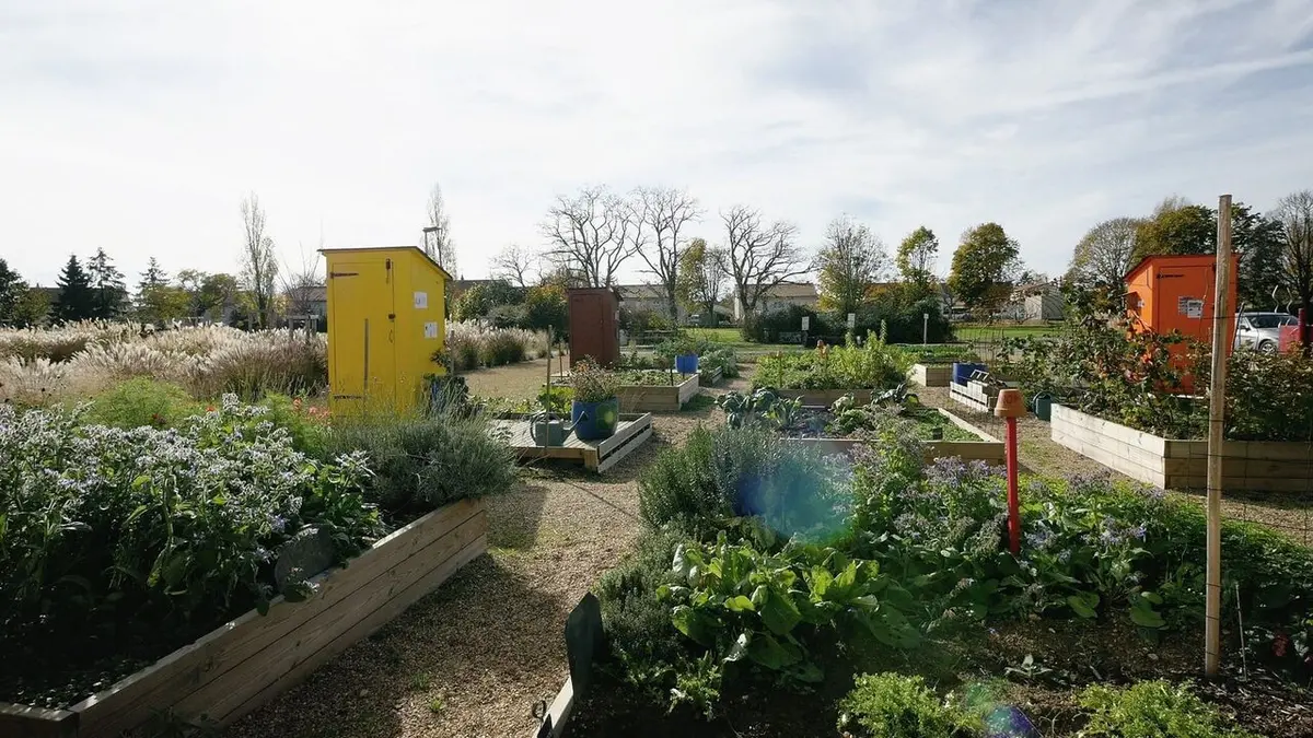 Echo-logis Le vert en commun replay