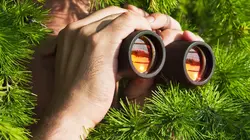 Echte meisjes in de jungle