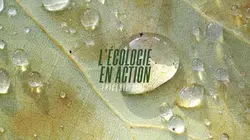 Ecologie en action (l')