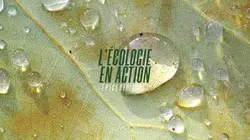 Ecologie en action (l')