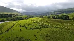 Visuel de Ecosse, terres de légendes
