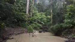 Ed Stafford : Duels au bout du monde Bornéo