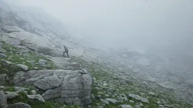 Ed Stafford : Duels au bout du monde Inde