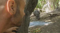 Ed Stafford : Seul au monde S01E04 Botswana