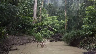 Ed Stafford : Seul au monde S01E05 Bornéo