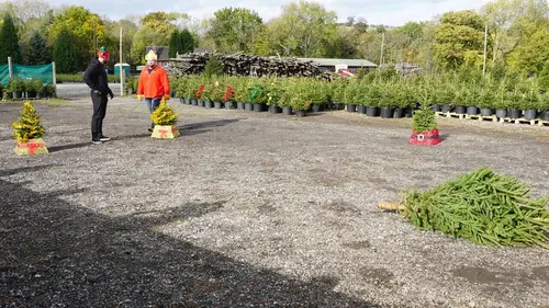 Eddie Eats Christmas Les douze travaux d'Eddie