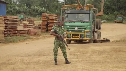 Eden vert : la guerre du bois