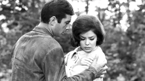 Education sentimentale en streaming