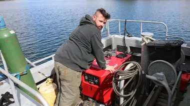 Vous reprendrez bien un peu de viande ?