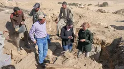 Egypte : les momies de compagnie