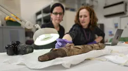 Egypte : les momies de compagnie