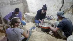 Egypte : les momies de compagnie