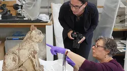 Egypte : les momies de compagnie