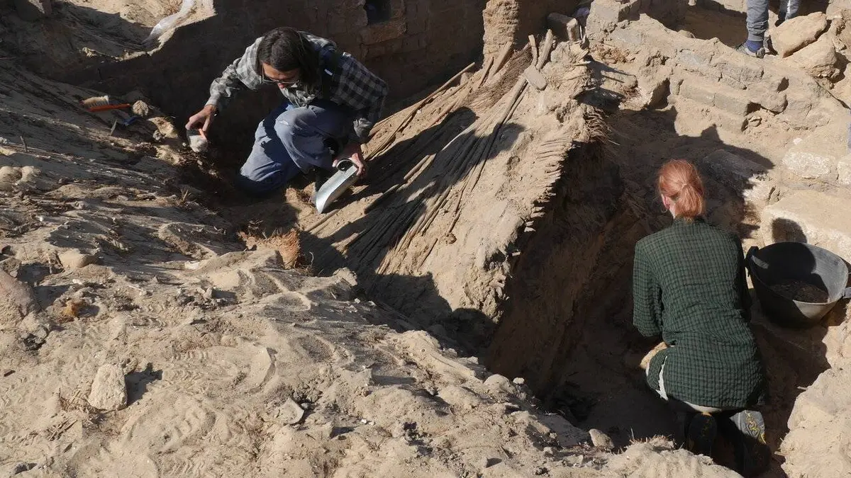 Egypte : les momies de compagnie