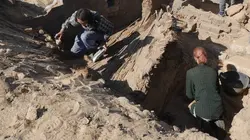 Egypte : les momies de compagnie