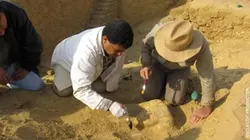 Egypte, une passion française