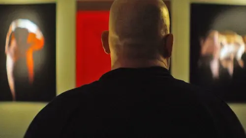 Elephant in the Room